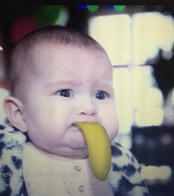 funny-pictures-713