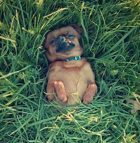 funny-pictures-713