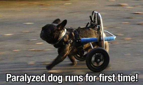 funny-pictures-714