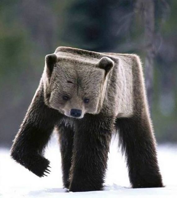 funny-pictures-714