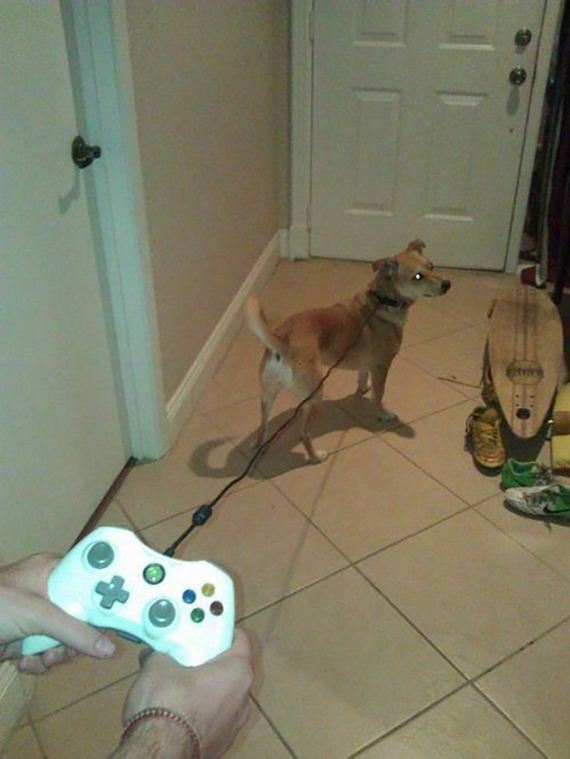 funny-pictures-714
