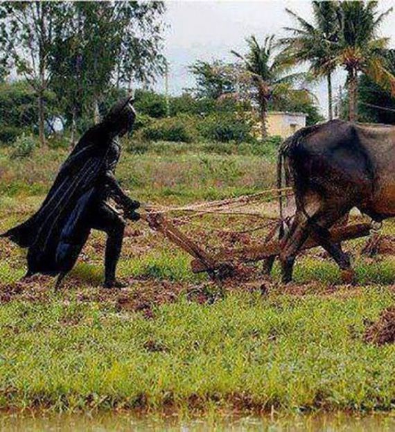 funny-pictures-714
