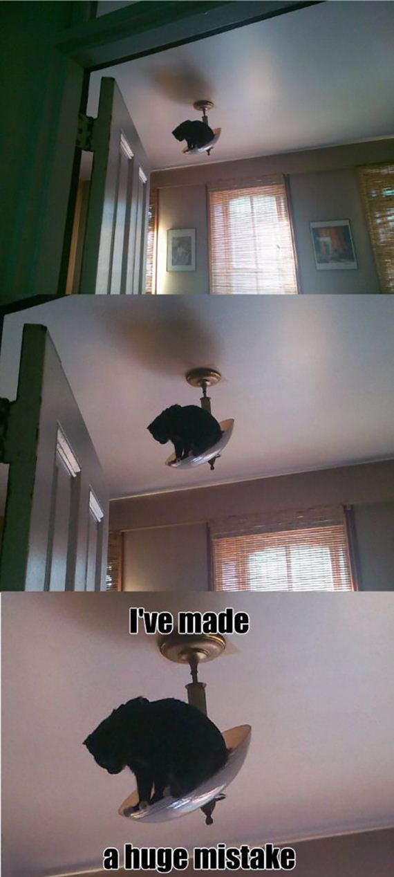 funny-pictures-714