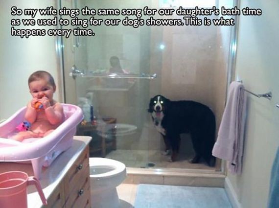 funny-pictures-714