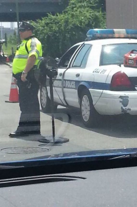 funny-pictures-714