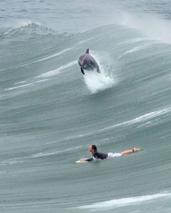 funny-pictures-715