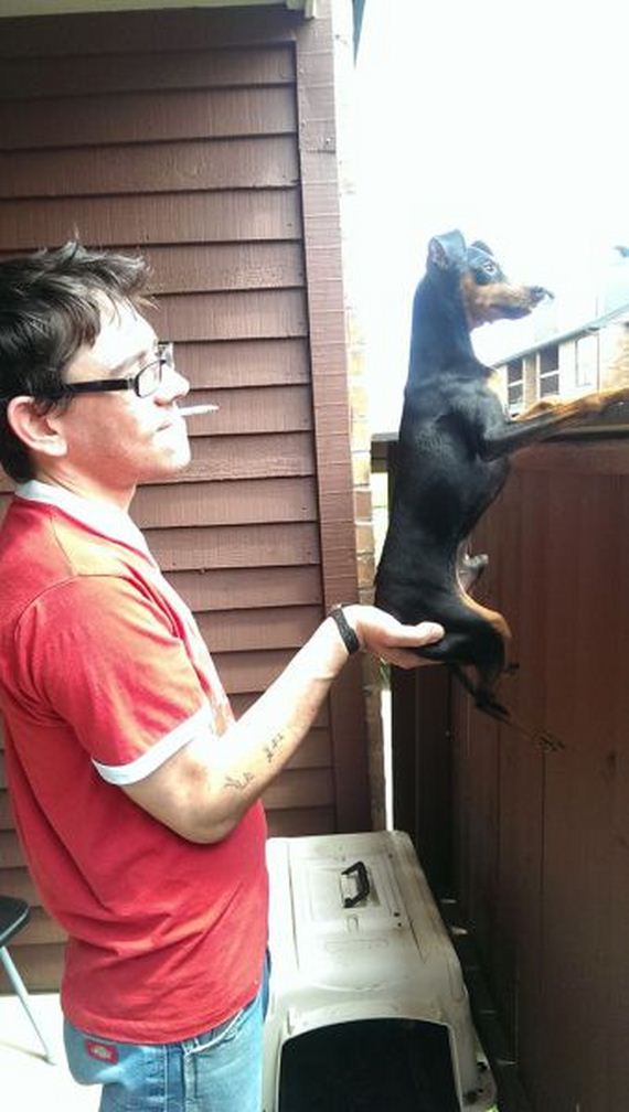 funny-pictures-715