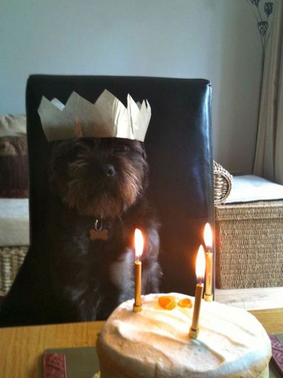 funny-pictures-715