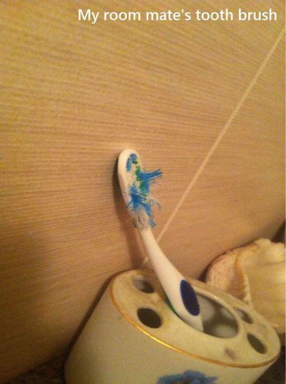 funny-pictures-715