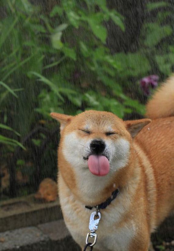 funny-pictures-716
