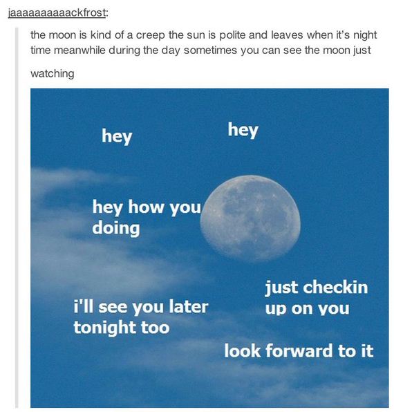 funny-pictures-716