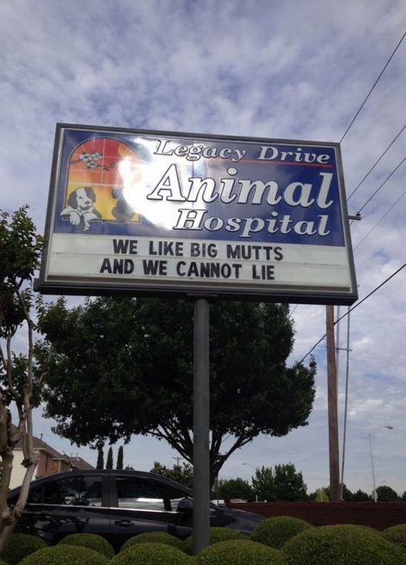 funny-pictures-716