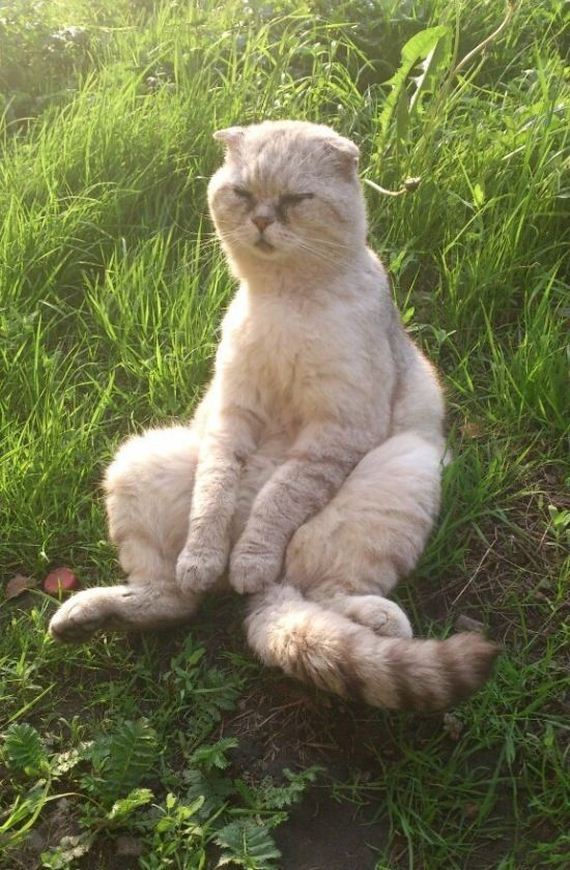 funny-pictures-718