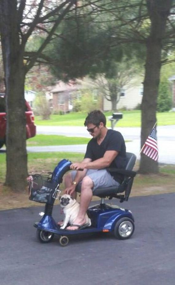 funny-pictures-718