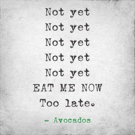 funny-pictures-718