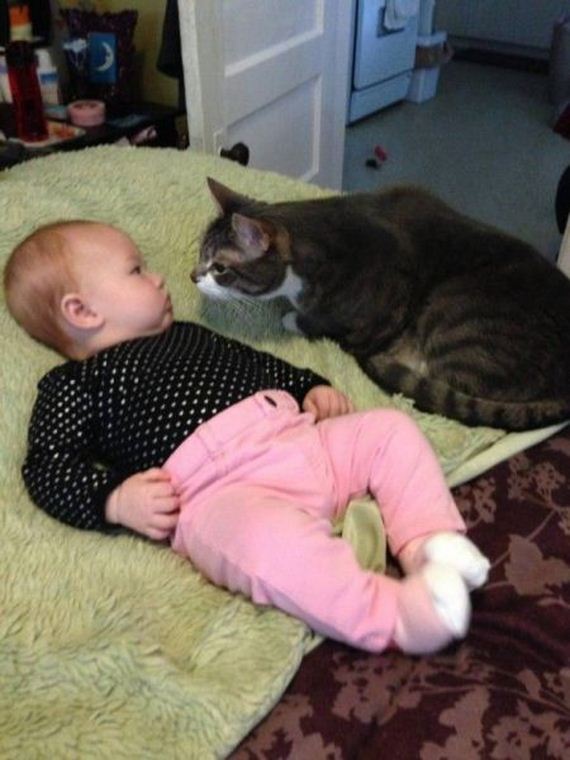 funny-pictures-718