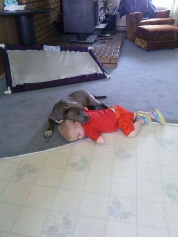 funny-pictures-718