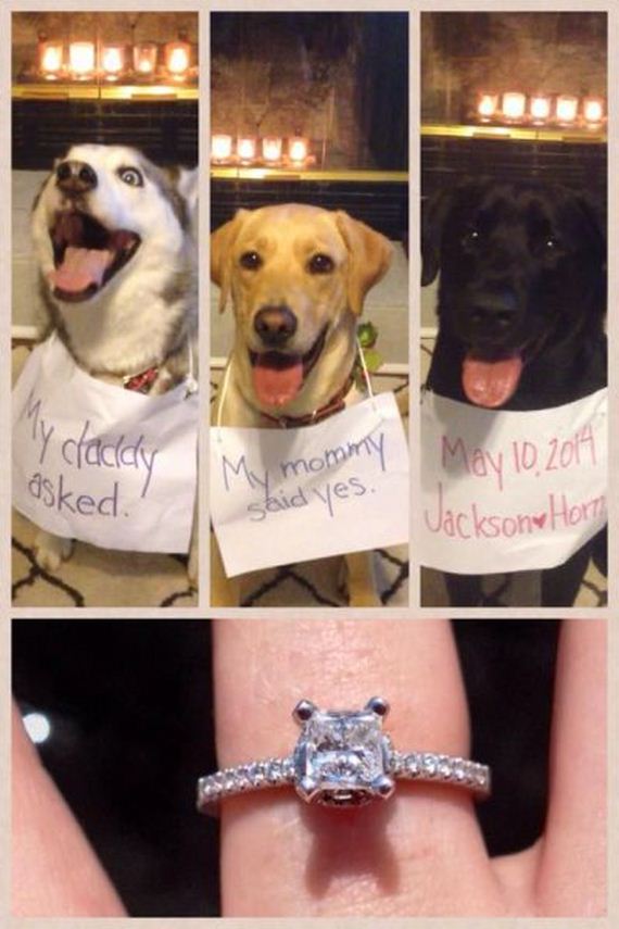 funny-pictures-719