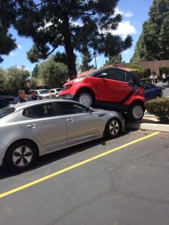 funny-pictures-721