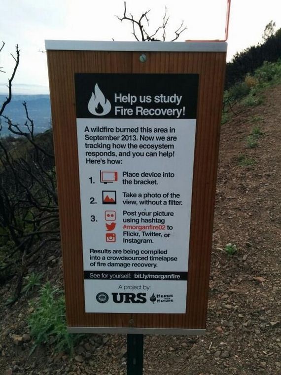 funny-pictures-721