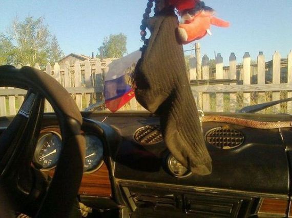 funny-pictures-722