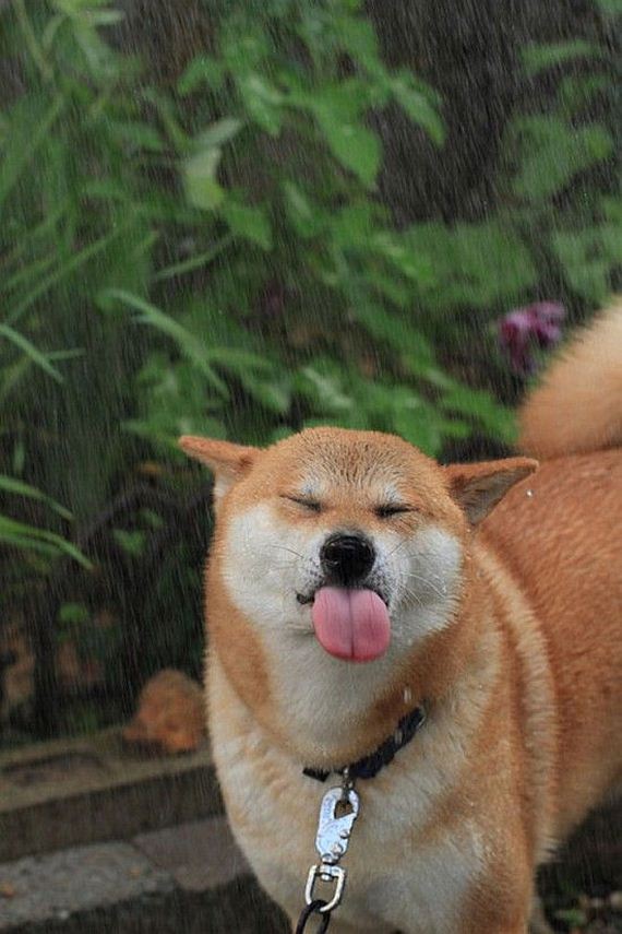 funny-pictures-722