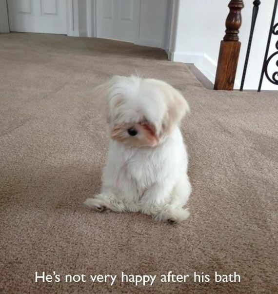 funny-pictures-722