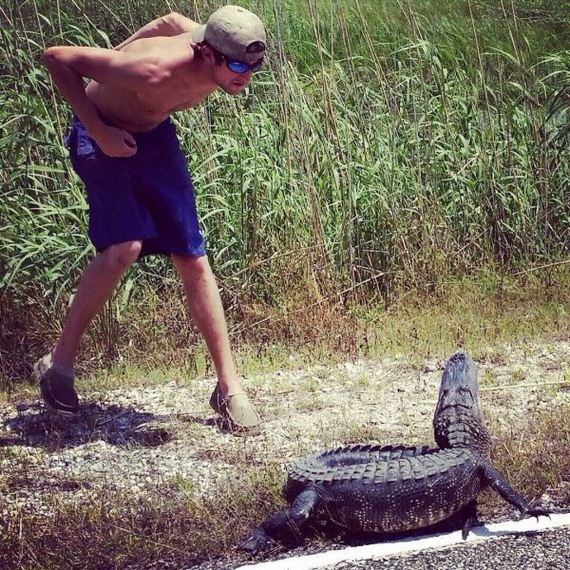funny-pictures-722