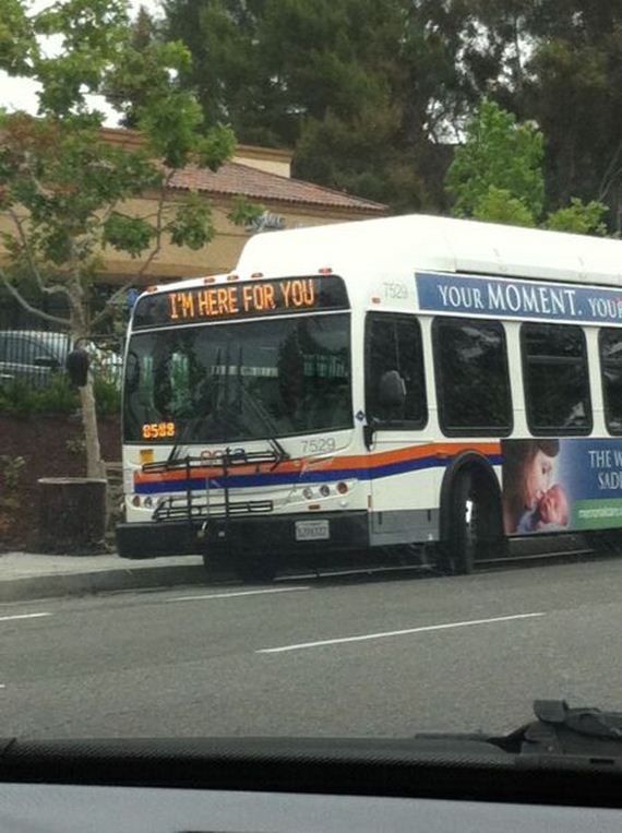 funny-pictures-723