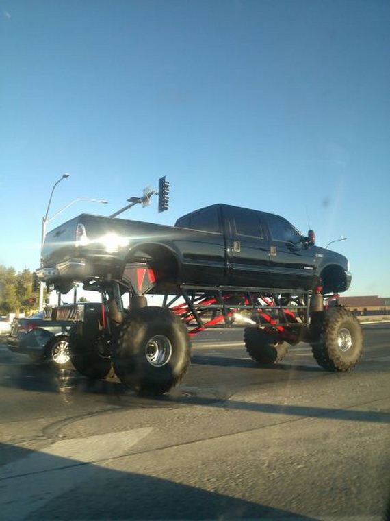 funny-pictures-723