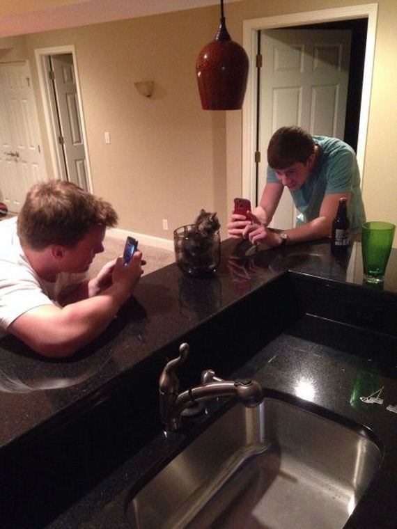 funny-pictures-723