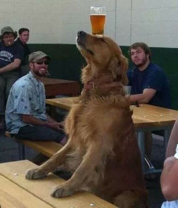 funny-pictures-725