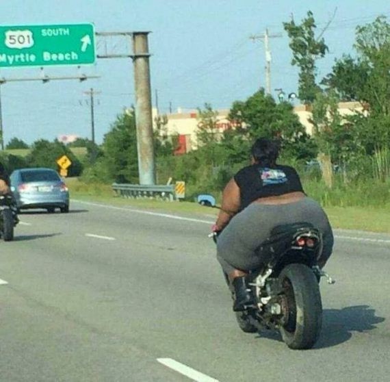 funny-pictures-726
