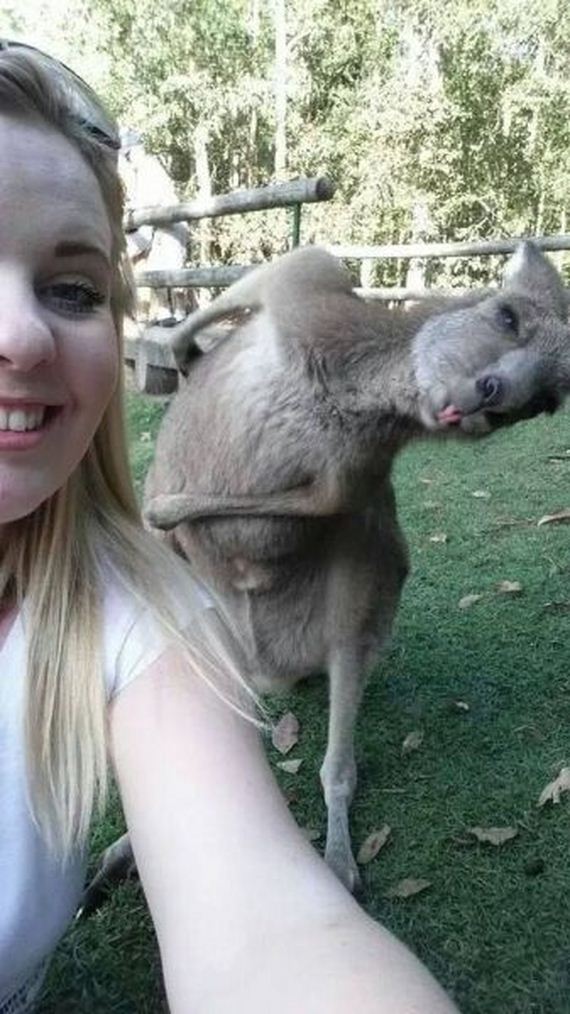 funny-pictures-726