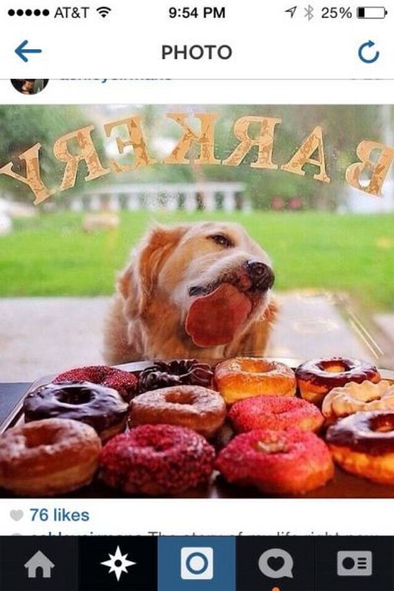 funny-pictures-726