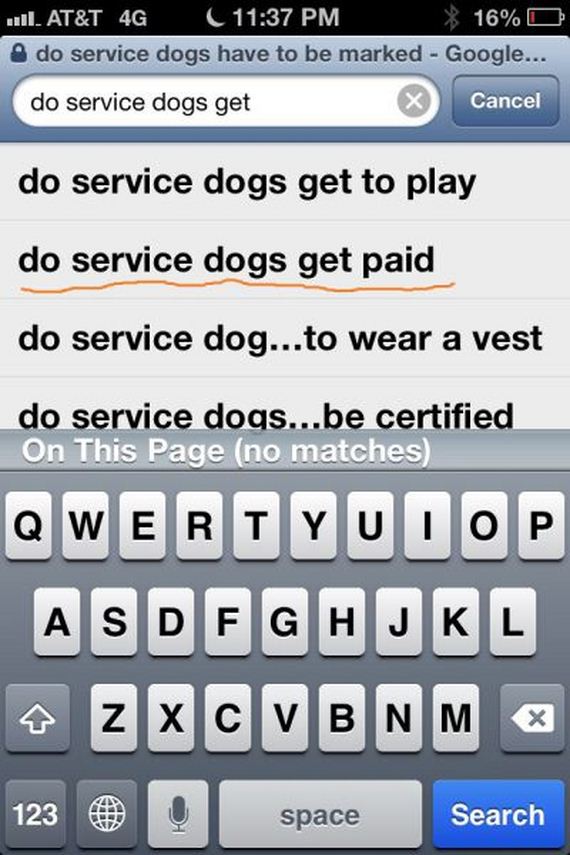 funny-pictures-727