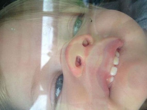 funny-pictures-728