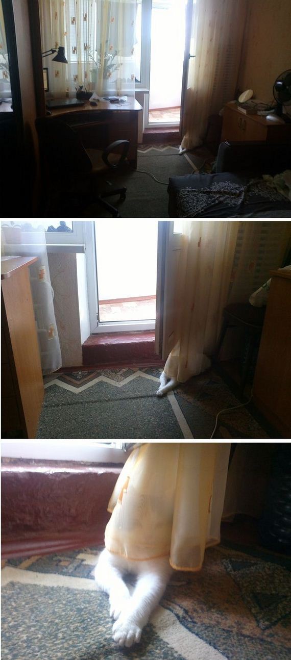 funny-pictures-729