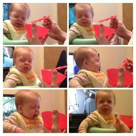 funny-pictures-729