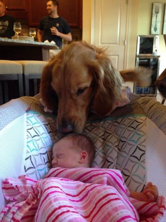 funny-pictures-729