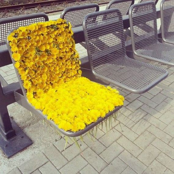 funny-pictures-729