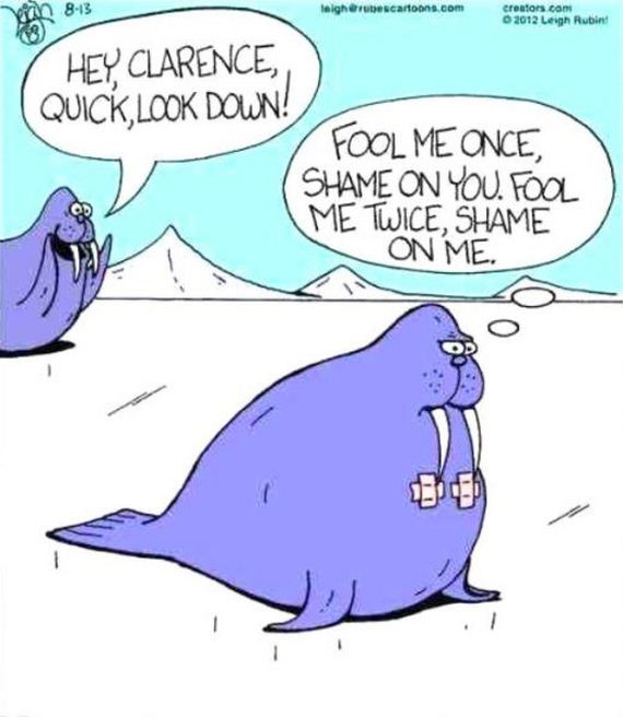 funny-pictures-729