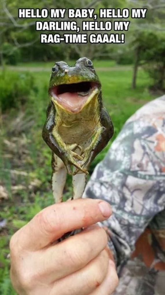 funny-pictures-729