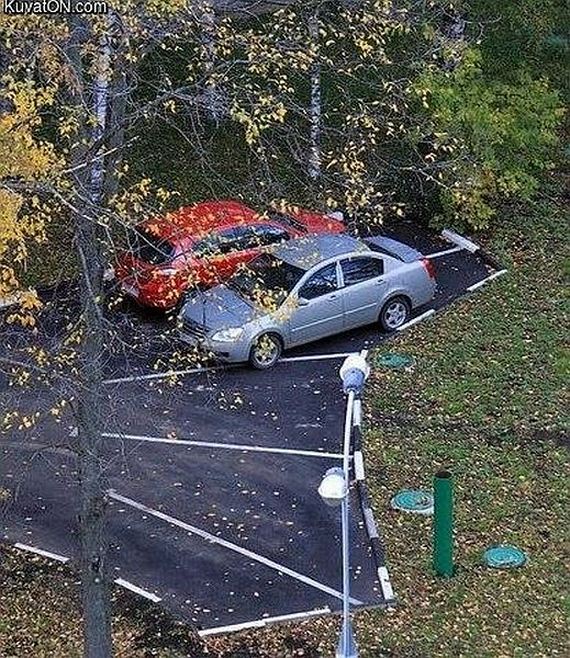 funny-pictures-729