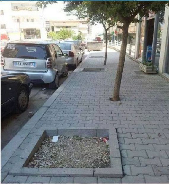 funny-pictures-729