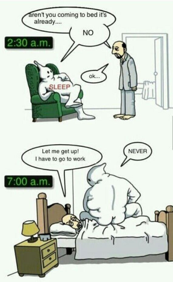 funny-pictures-730