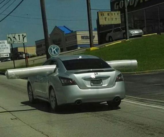 funny-pictures-730