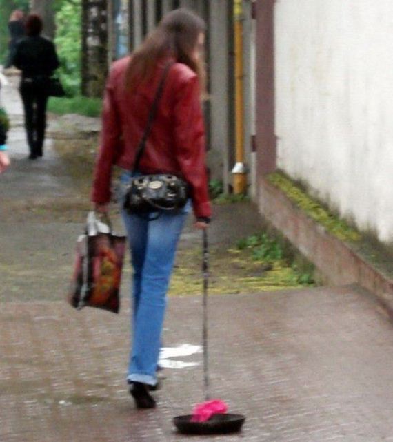 funny-pictures-730