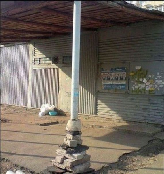 funny-pictures-730