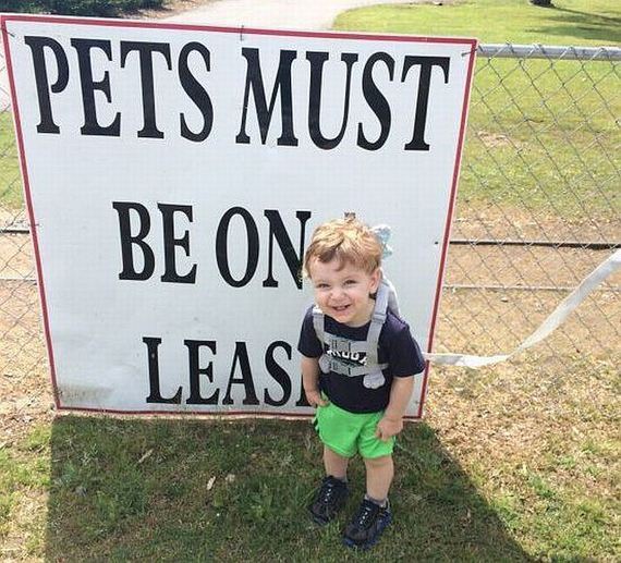 funny-pictures-731